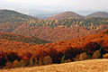 Skole Beskids