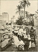 Oasis de Gabès.jpg