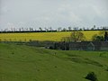 A view from Selsley Common