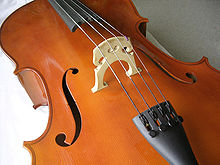 Looking down on the top of a small wooden boat-like shape. Four metal strings run along the middle of the shape down its long axis. The strings pass over a small raised wooden bridge positioned in the centre of the shape so that the strings sit above the deck of the cello.