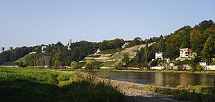 Barevná fotografie zachycující strmý břeh Labe s několika domy, vinicí a četnými listnatými stromy