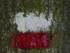 The characteristic white and red waymark stripes that mark a Grande Randonnée route in France