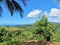 D Landwiatschaft z Mayotte, mid Kokosniss, Banana, Bloutfricht, Papaya, Mango u Maniok.