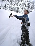 A young snowshoer