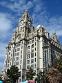 The Royal Liver Building - Liverpool Mathew Street Music Festival 2006