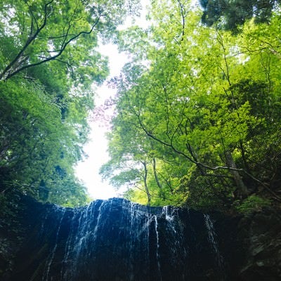 新緑に包まれる岩井滝の写真