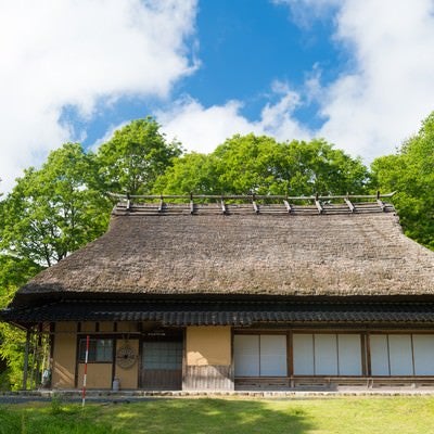 古民家と新緑（岡山県鏡野町うたたねの里）の写真