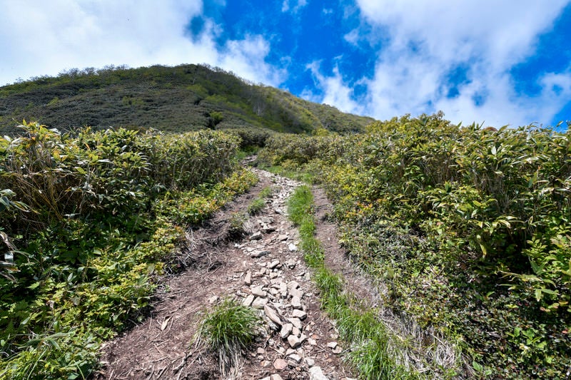 急騰が続く高妻山登山道の写真