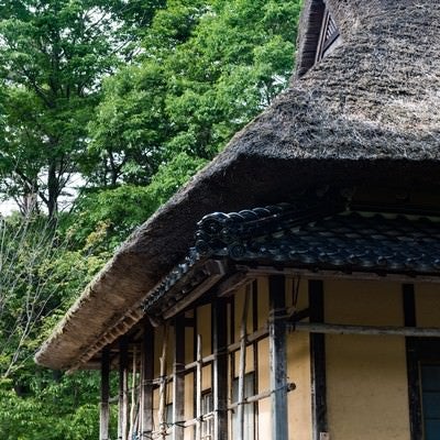 茅葺屋根と新緑の写真