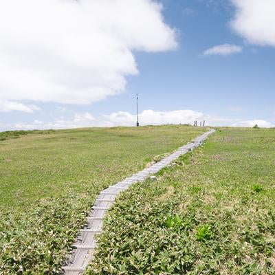 平ヶ岳山頂の草原の写真