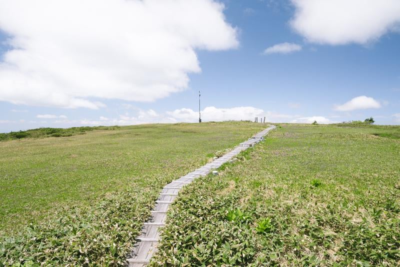 平ヶ岳山頂の草原の写真