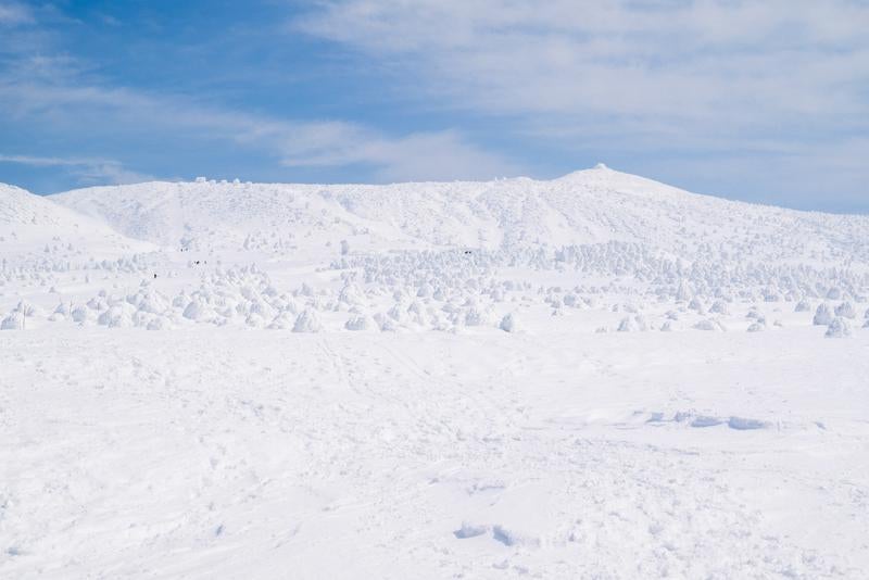 刈田岳山頂と樹氷林の写真