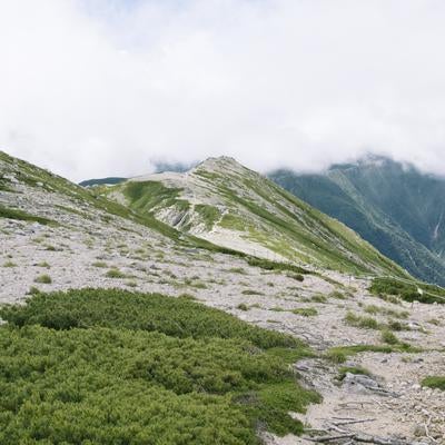 白砂とハイマツが続く極楽平の写真