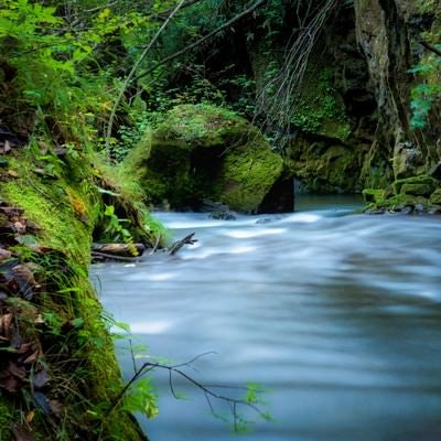 渓流の水面の様子の写真