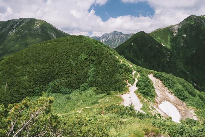 弓折尾根から見える鷲羽岳の写真