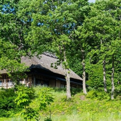 新緑に包まれる茅葺き屋根の古民家の写真