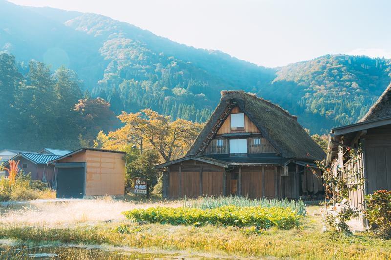 岐阜県白川郷田園に建つ合掌作りの家の写真