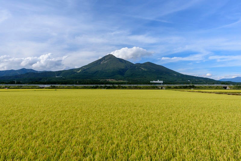 猪苗代の田畑と磐梯山（ばんだいさん）の写真