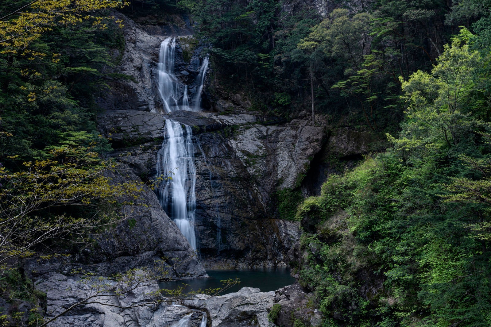 「大杉谷の滝（大台ヶ原大杉谷ルート）」の写真