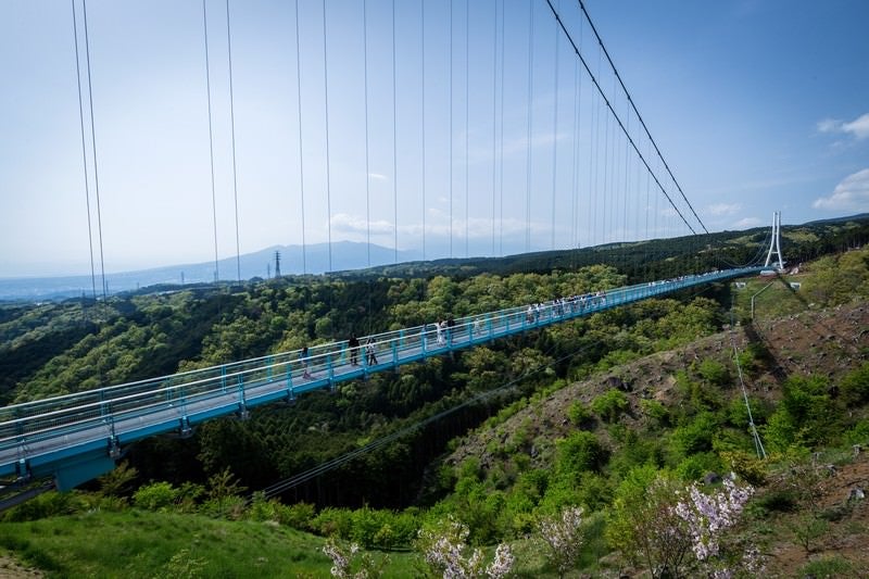 三島スカイウォークの写真