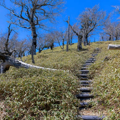 大杉谷ルートの山頂付近（大台ヶ原）の写真