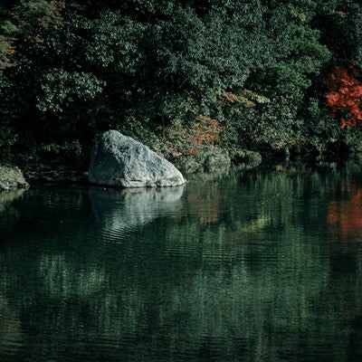 水面に映る色付き始めた木々の写真