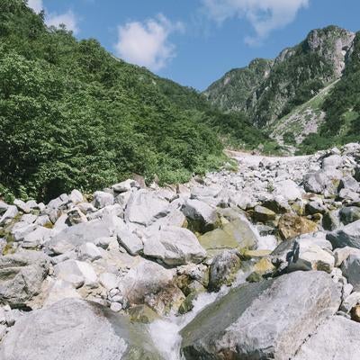 秩父沢周辺から稜線を見上げるの写真