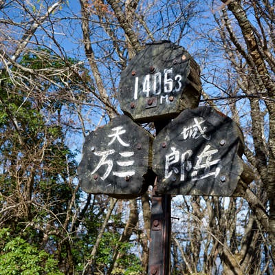 天城山最高峰万三郎岳（ばんざぶろうだけ）の写真