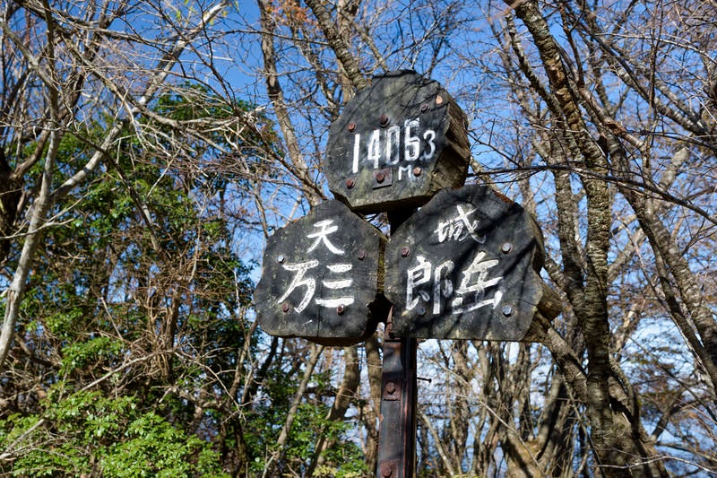 天城山最高峰万三郎岳（ばんざぶろうだけ）の写真