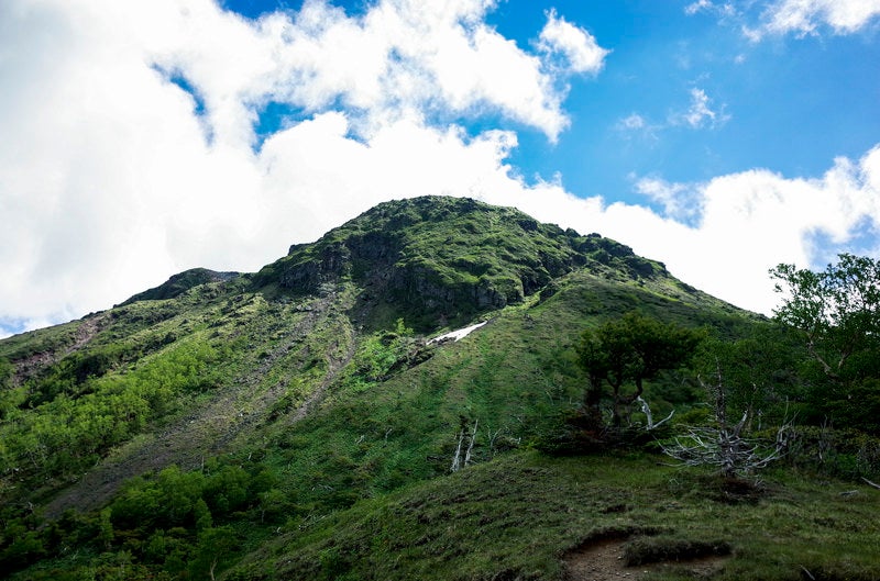 6月の日光白根山山頂を見上げるの写真