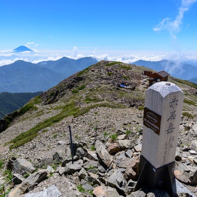 赤石岳山頂から拝む富士山の写真