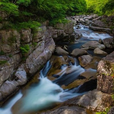 岡山県鏡野町の奥津渓（6月中旬）の写真