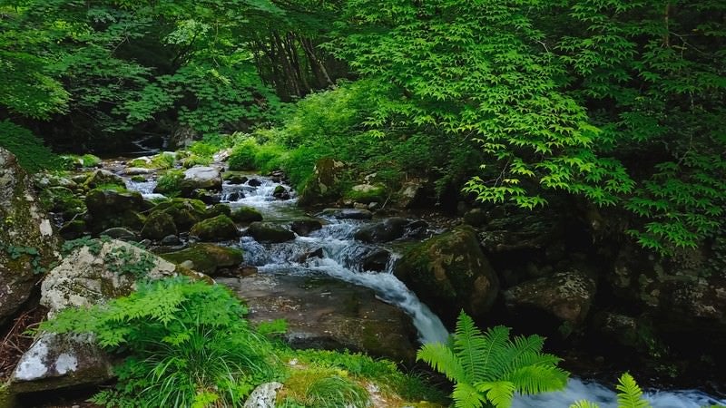 白賀渓谷（岡山県鏡野町）の写真