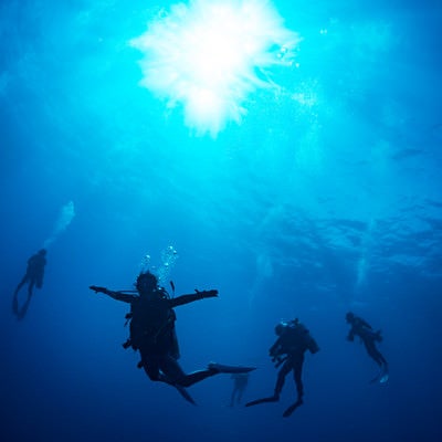 浮遊するダイバーの写真