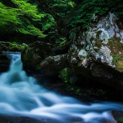 新緑と岩の間を流れる美しい清流（鏡野町）の写真