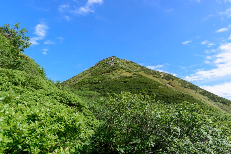 仰ぎ見る燧ヶ岳の山頂の写真