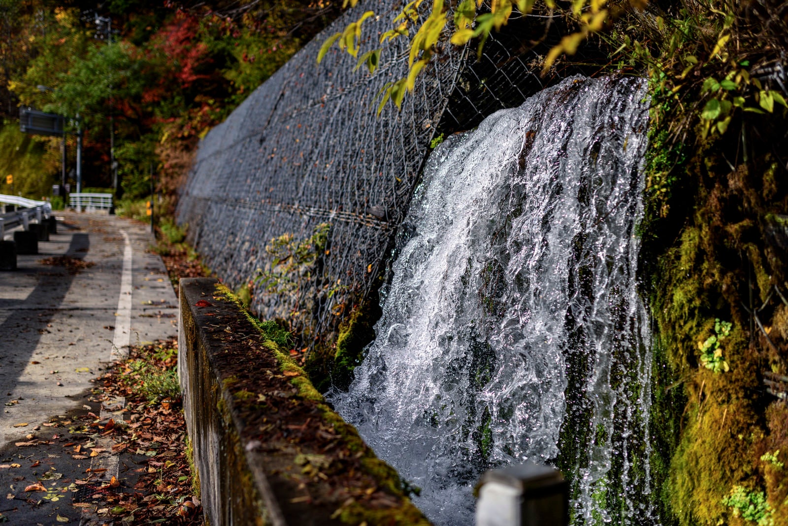 「水が滴る国道158号線」の写真