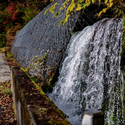 水が滴る国道158号線の写真