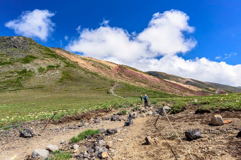 大雪山の登山道を歩く登山者の写真