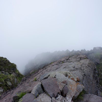 ガスに包まれた日光白根山山頂の稜線の写真