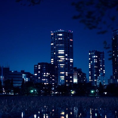 高層マンションと不忍池の夜の写真