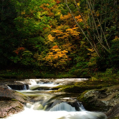 紅葉した木々と小又峡（秋田県北秋田市）の写真