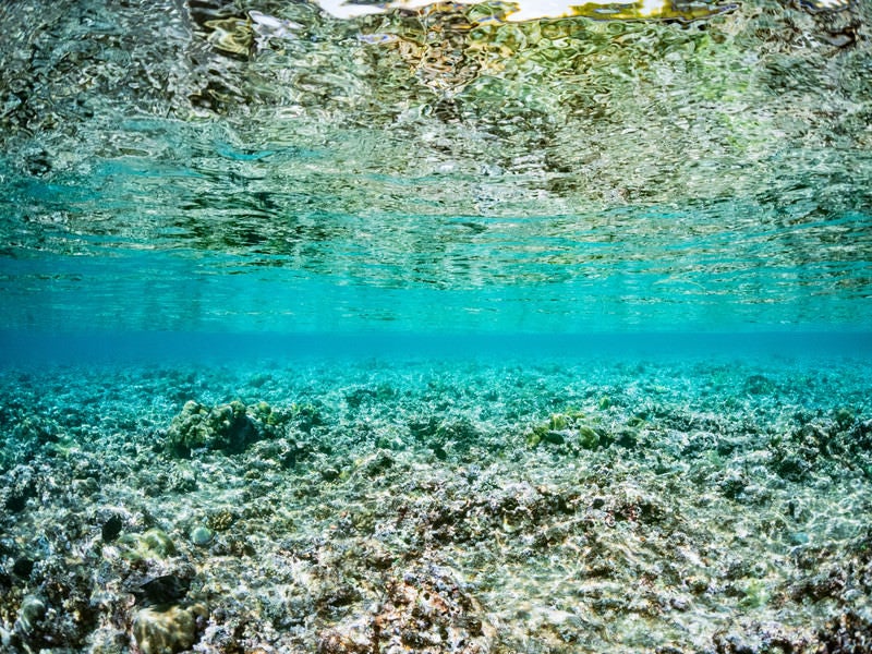 透明度の高い海中から見る水面の写真