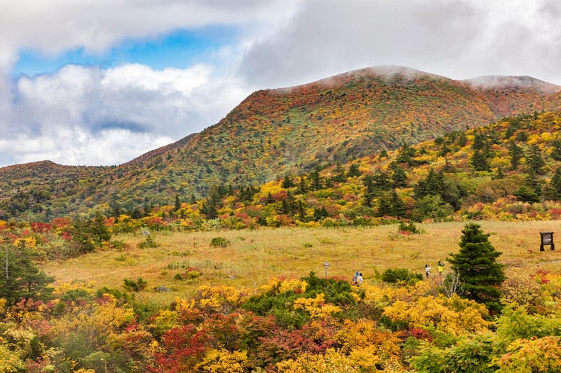 紅葉の栗駒山を上る登山客の写真