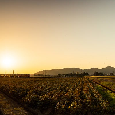 夕暮れの田園を走る奥羽線の写真