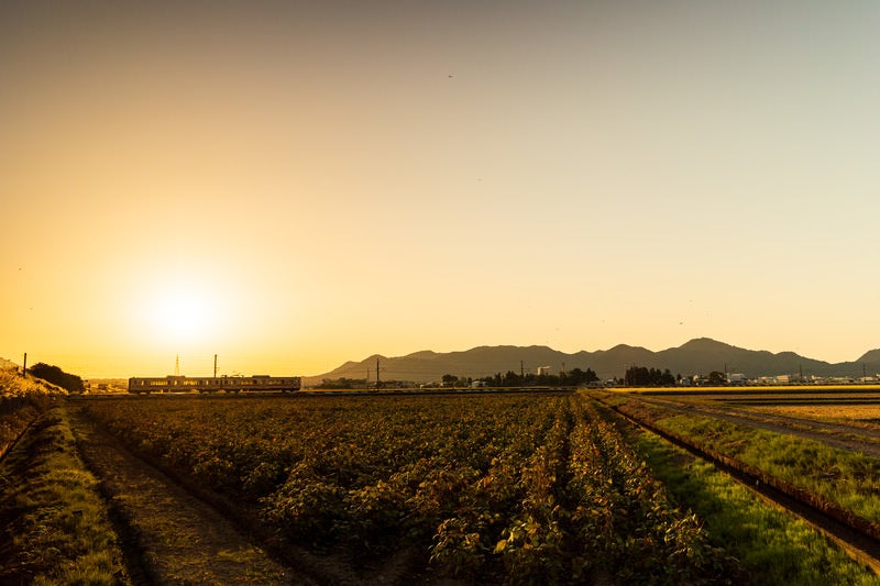 夕暮れの田園を走る奥羽線の写真