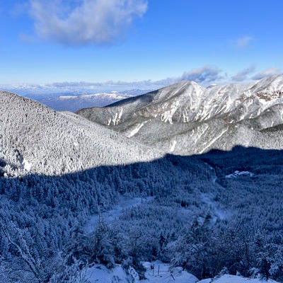 赤岳の影が重なる八ヶ岳の雪の森の写真