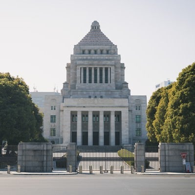 曇り空と国会議事堂の写真