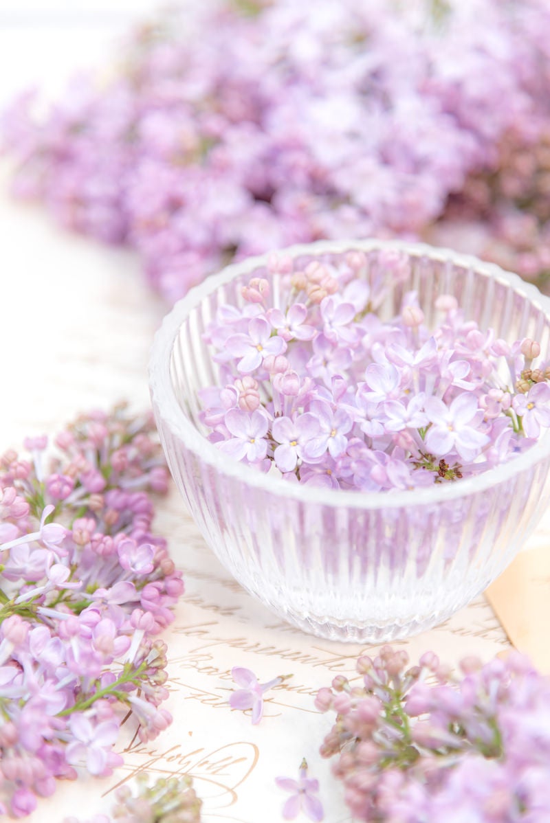 器に盛るライラックの花びらの写真