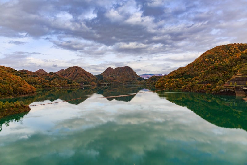 緑色の水の玉川ダム湖の写真